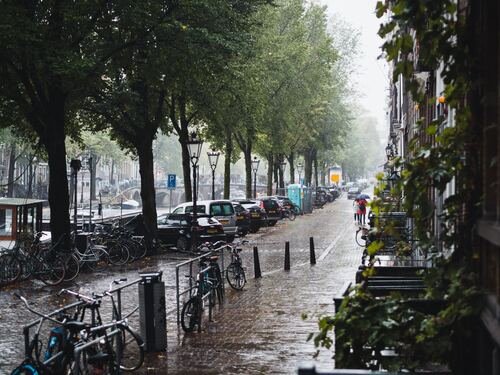 Hoa Roi Cua Phat Nguyen Si Kha • Rainy Day Memories • 2023